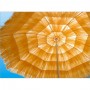 Slunečník Hawaii 160 cm béžový